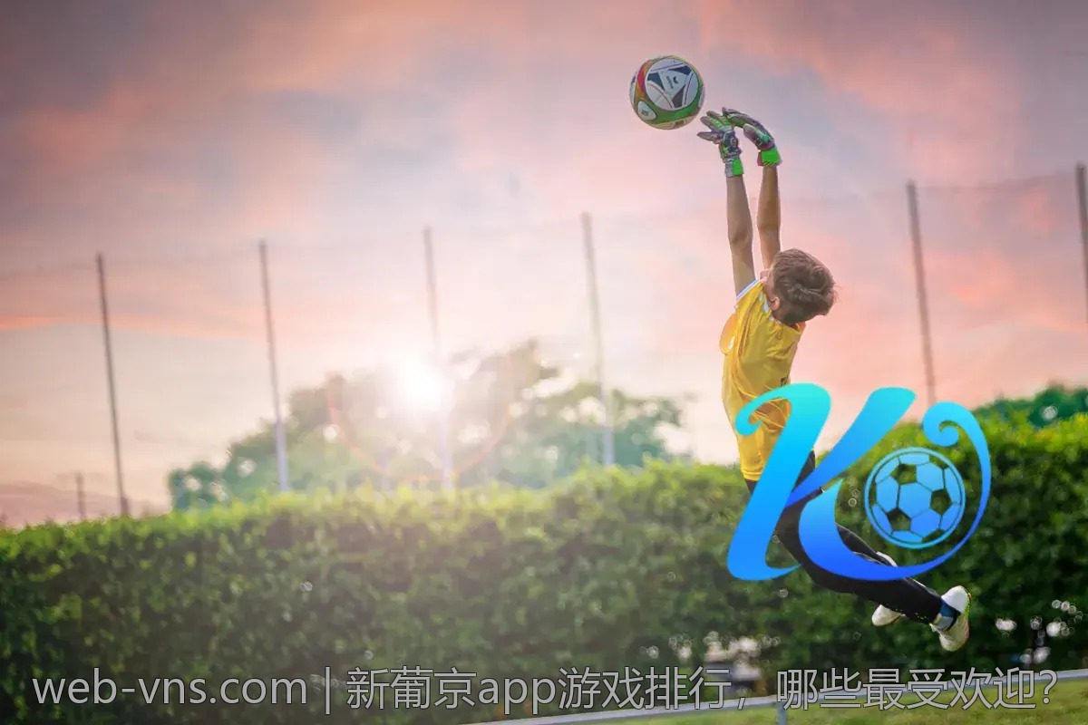 新葡京app游戏排行，哪些最受欢迎？