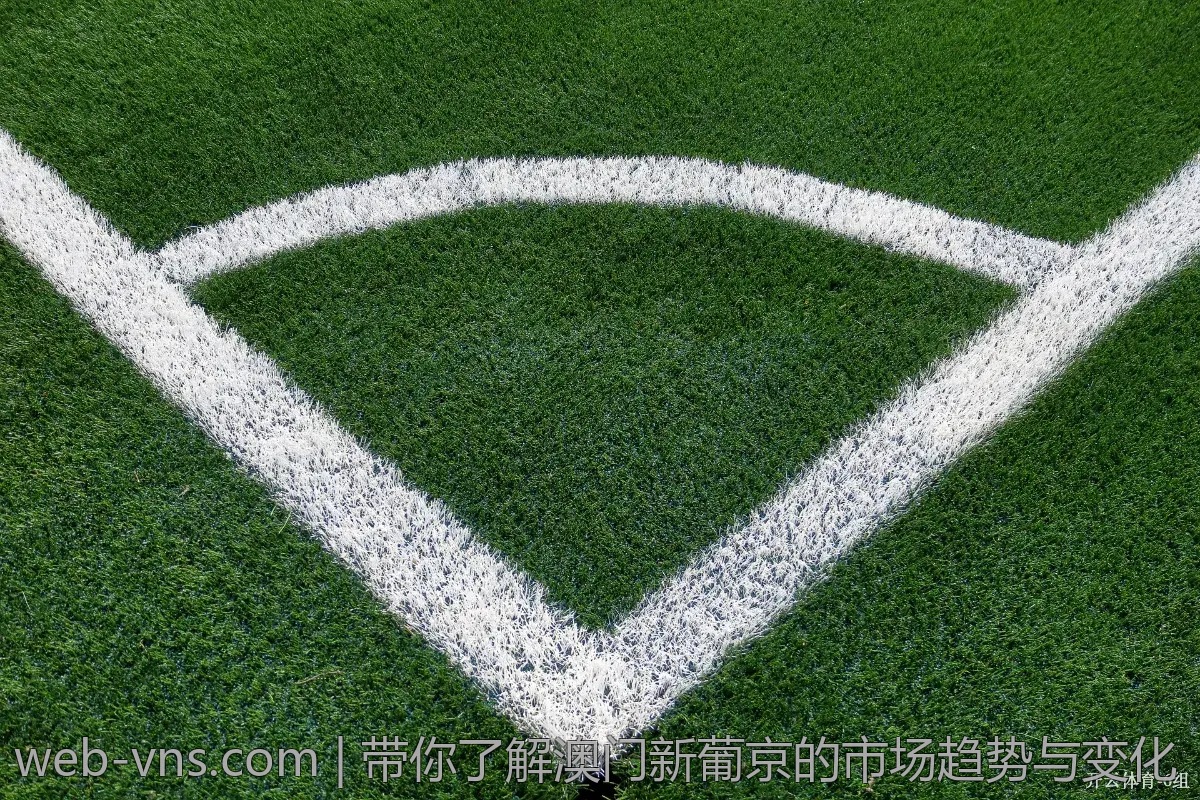 带你了解澳门新葡京的市场趋势与变化