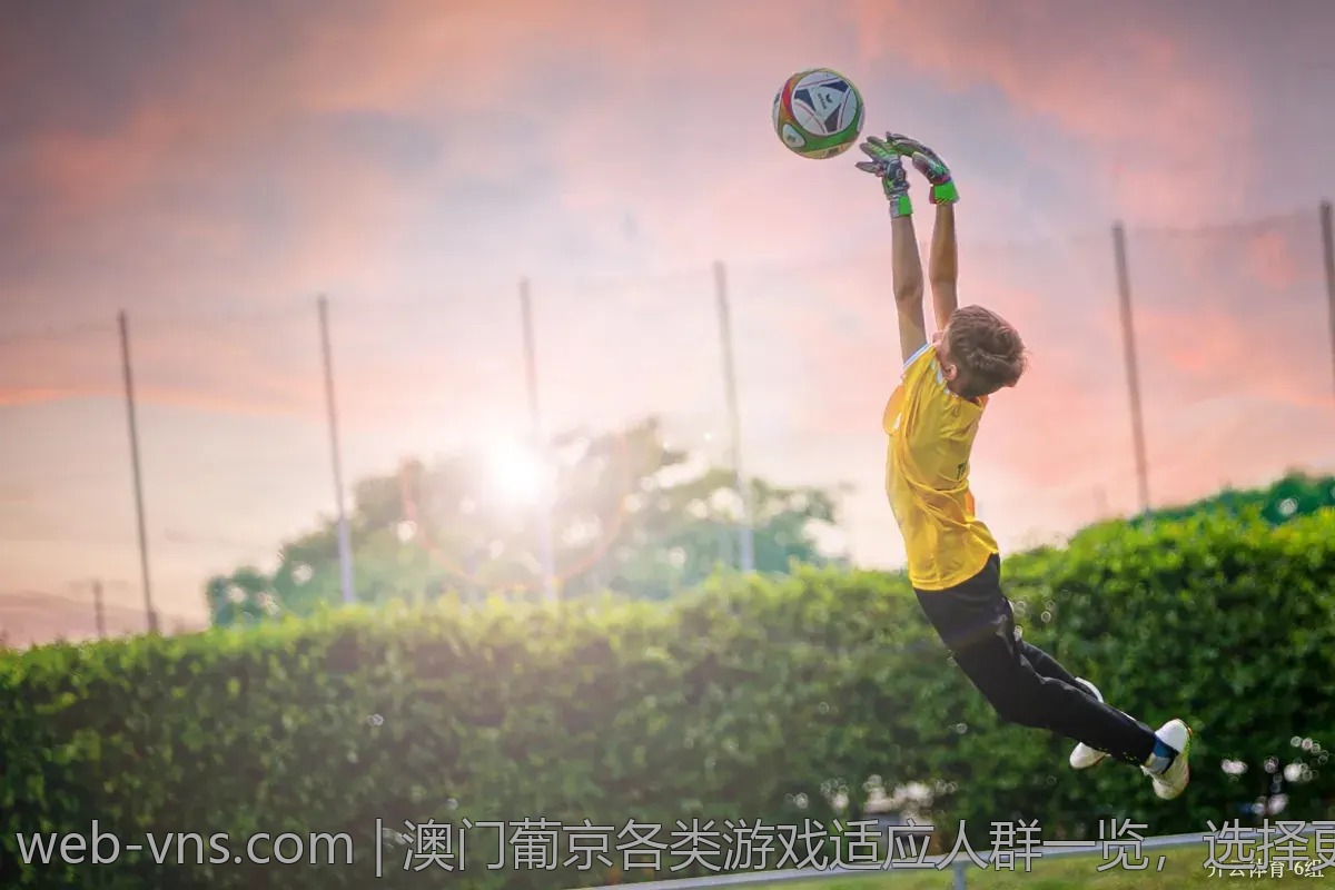 澳门葡京各类游戏适应人群一览，选择更精准