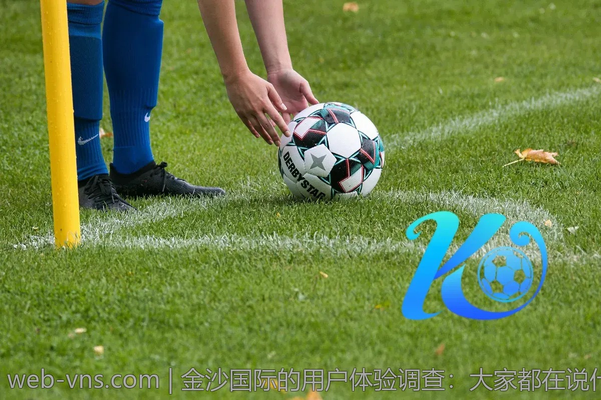 金沙国际的用户体验调查：大家都在说什么？